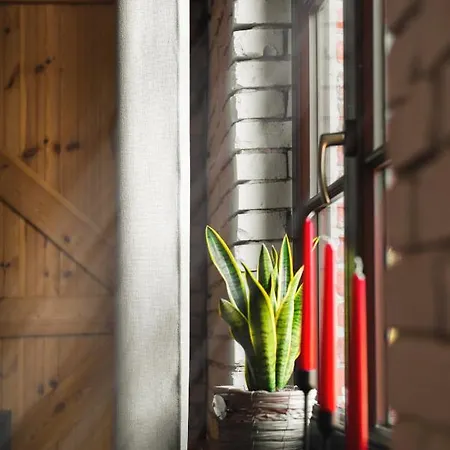 Loft Apartment 200M To Old Town Wi-Fi Olsztyn  Exterior foto
